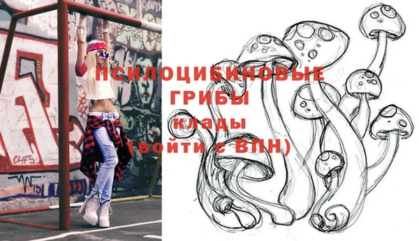 apvp Белоозёрский