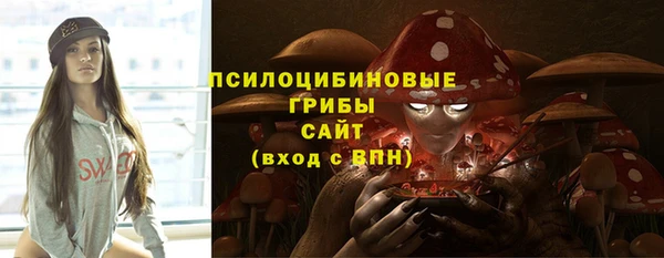 гидропоника Богданович