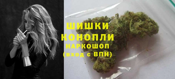 spice Богородск