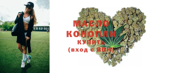 spice Богородск