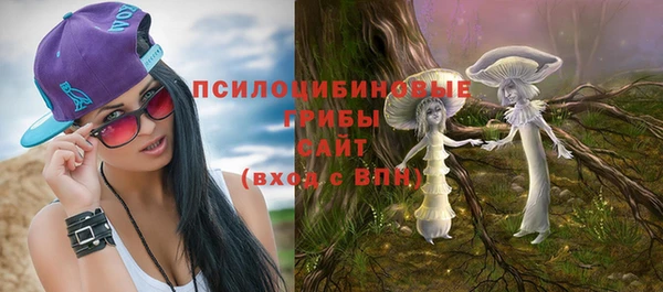 таблы Белокуриха